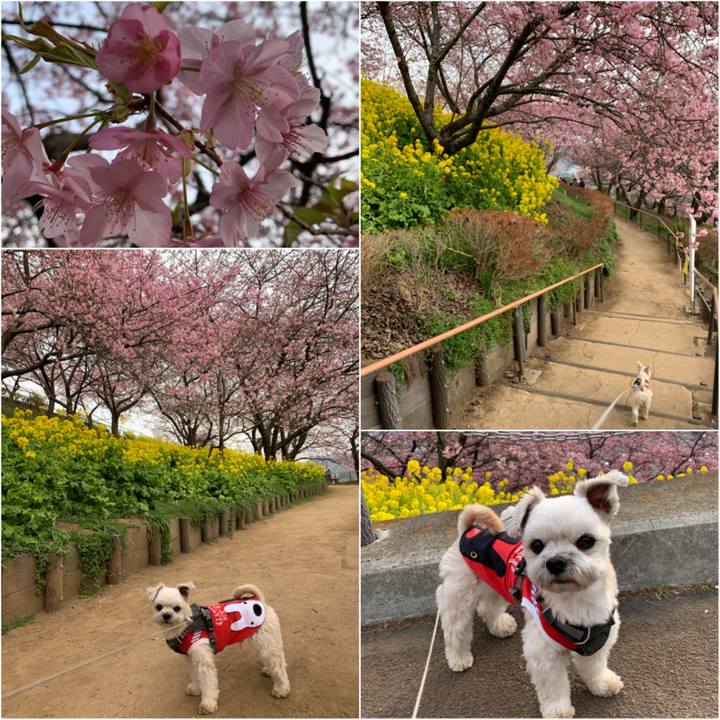 30926766 fcf0 46c3 90a8 76fbb5ce2116 1613129283828