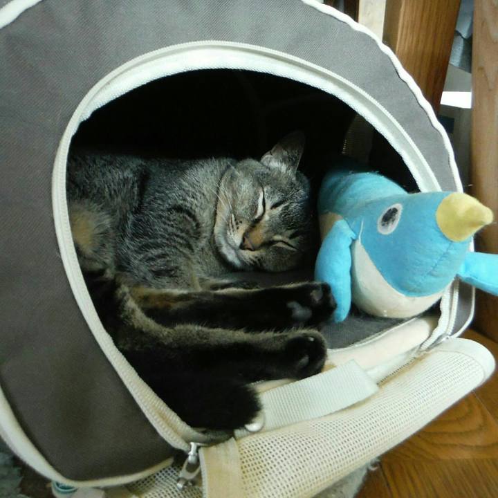 30929794 23f5 4637 b558 5178ace67f89 1535615290871