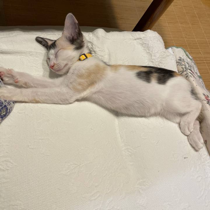 3092d96b 4487 411d 82d7 5ea314a74cc5 1658574571494