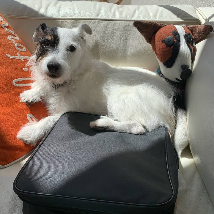 3093076b 0447 425f aae3 b14df06ab5a4 1725934881927