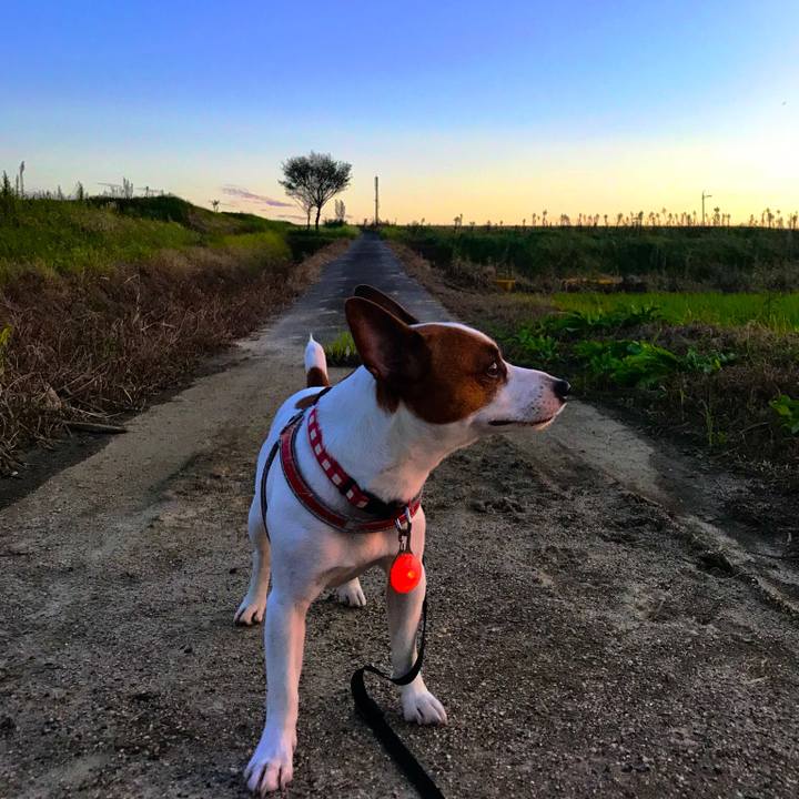 30930a09 86c1 4b0e a15b f43ad5ba9637 1537612968722