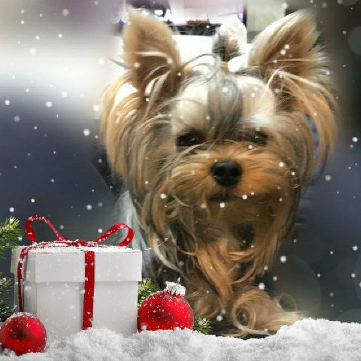 30930a18 38de 486d bca6 9937efcff653 1606981898819