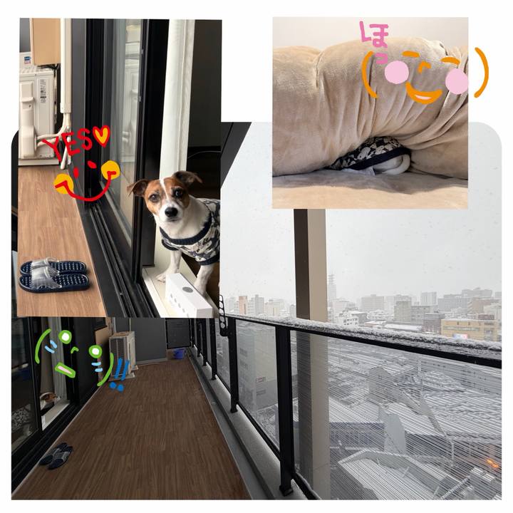 30932d5a a60a 497b b3d8 e28f14bf782d 1764803151406