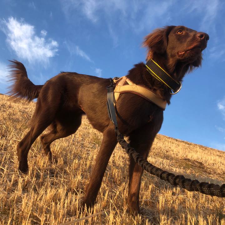 30938462 4cd2 4afe 86ba ba799f8552fd 1581471194131