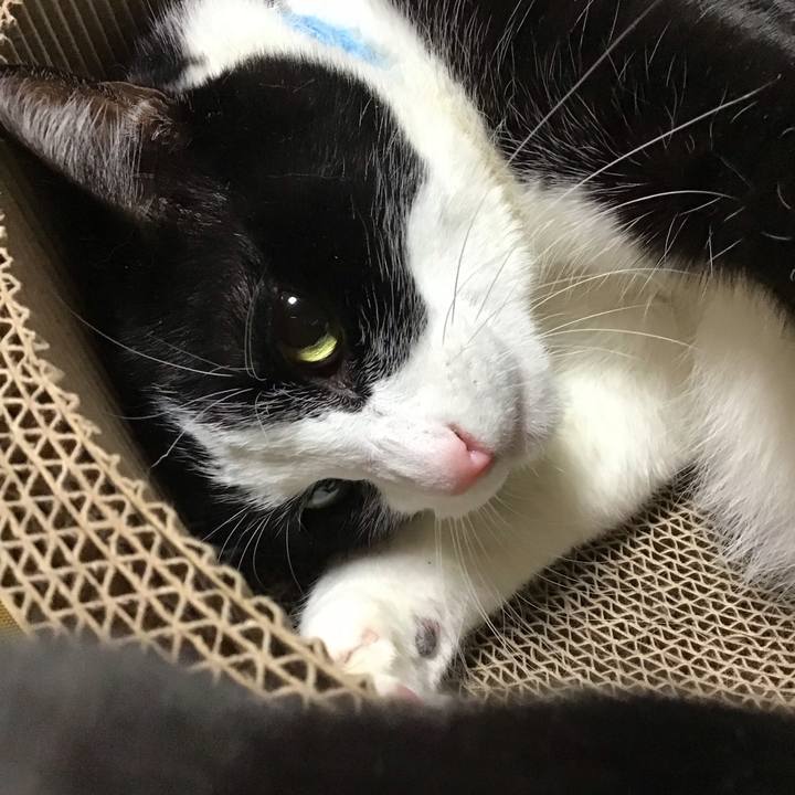 3093b669 6cd9 4c4a a5c3 7c6bd8a32f45 1734781475745