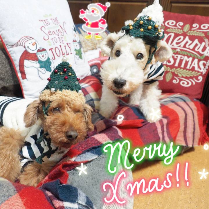 3093e56c 1b3f 4a88 b69d 58b6cfa3807a 1608951809830