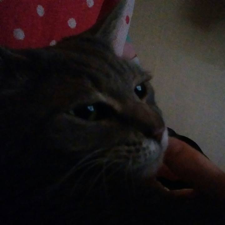 3093e9ae 15a0 4d55 84c2 55485f5de824 1557438300472