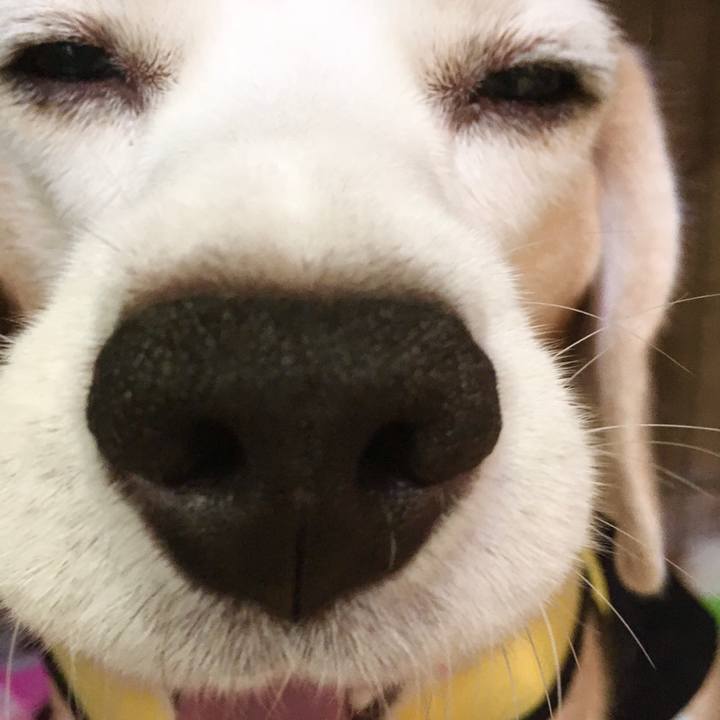 3093eed7 86bd 400a a5ae 10d6d46e646f 1571806345988