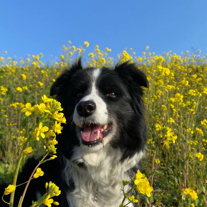 3093f865 cbe7 49de b9ab 921eb31937d7 1613867914950