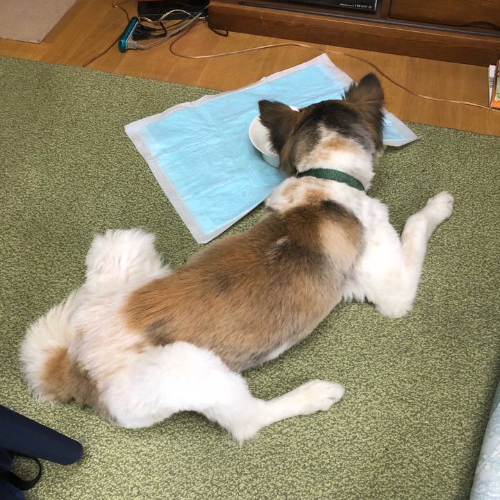 309411b2 349d 4858 8cf9 21a6d15977ef 1524529556921