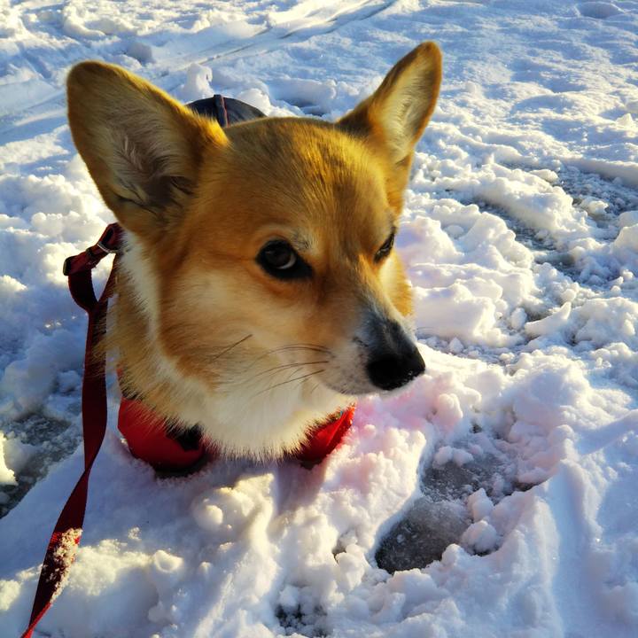 3094211b 268c 420a 9c00 5744c9b367be 1608291419790