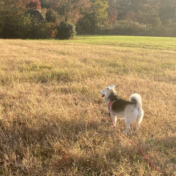 309479f5 eca9 455b ac9d cd228f892ce3 1733570885525