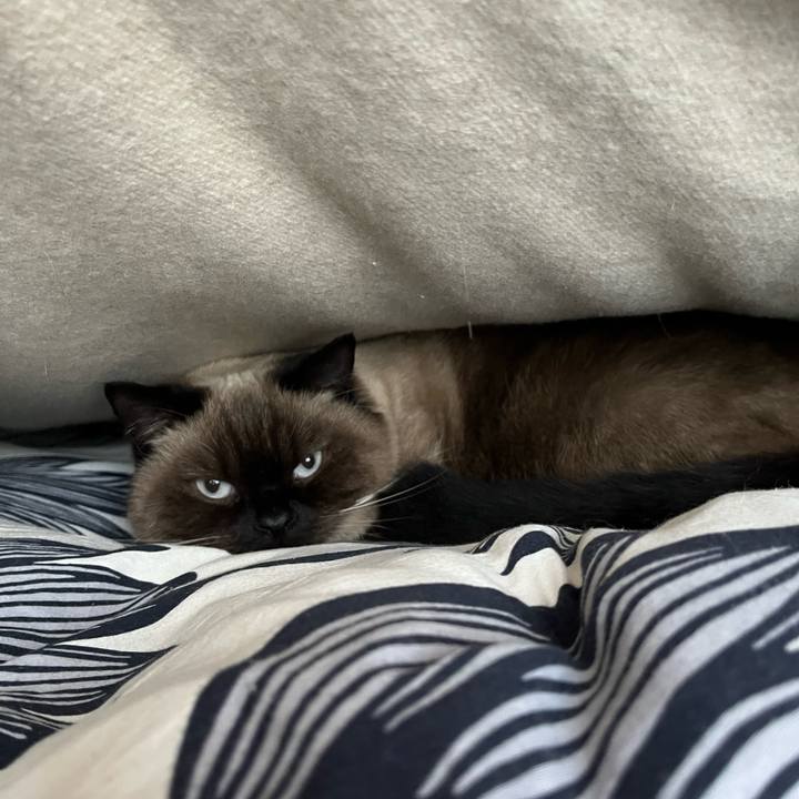 3094951c 490c 4da1 a69f d0498d1b6b47 1637969483422