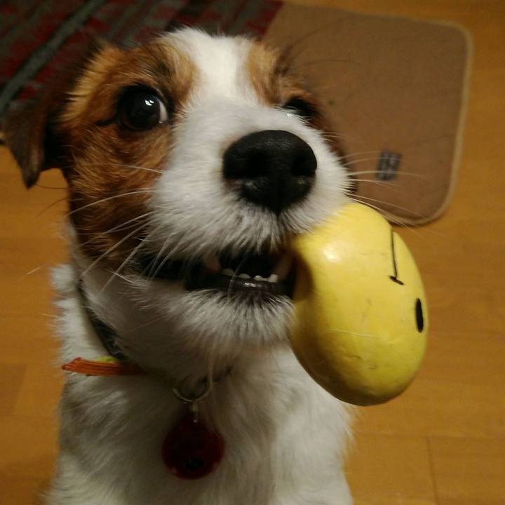 3094b045 6a87 4e66 a09f b8c962a999d7 1517569537540