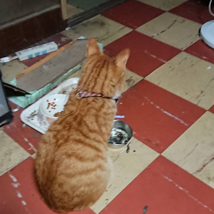 3094be3c 8a3b 4ac6 87ff 20606b78cb0a 1568404618614