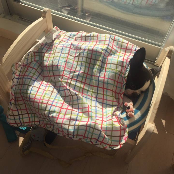 3094c968 be31 4a6a a841 1294a93ba039 1513220808865