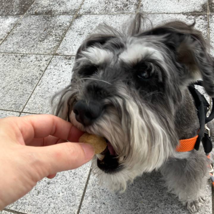 3094ef8b fb89 4594 8f94 61c82e09f0cc 1725161054052