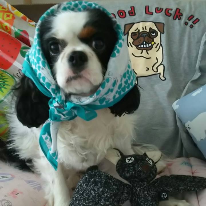 3094fa25 4bc2 4acf a258 69b6d4711b57 1533798761247