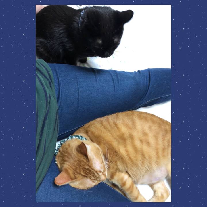 3094ff87 3641 41e2 ac70 ca25268c1863 1577878222224