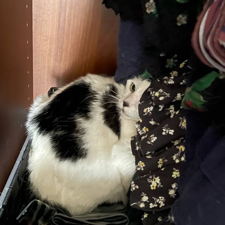 309547cd f79c 4e27 a624 cbf43ddc98a7 1715902408665