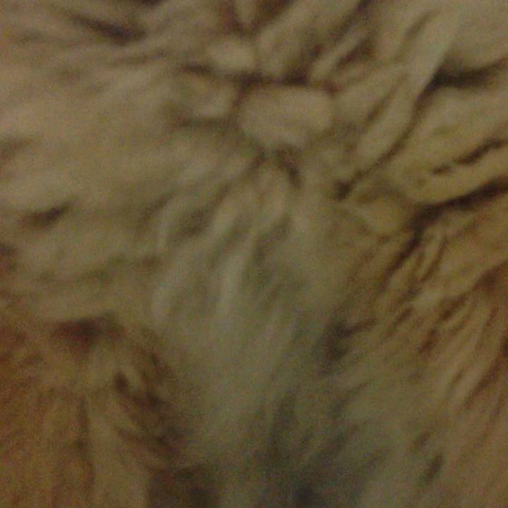 3095692d 8ae8 4e7d b740 66e90b387ee6 1603602106529