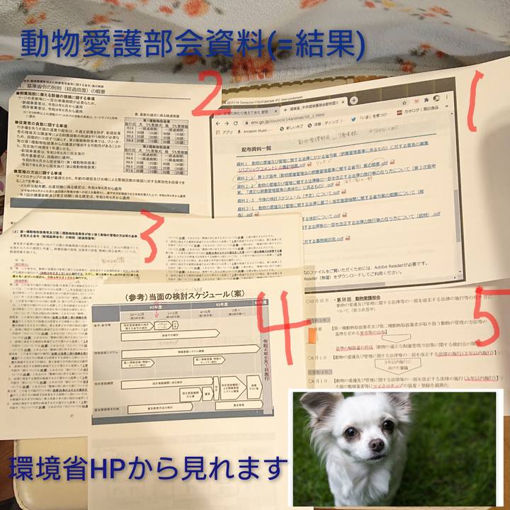 30956a69 6a36 4e35 9eb2 c80f77f97412 1609858351071