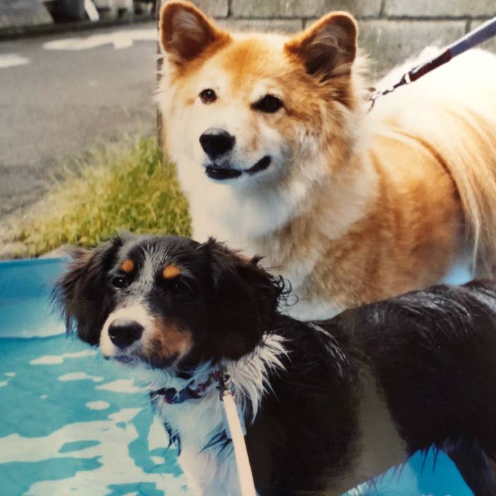 30956f01 2721 46df 8368 b4d0ca63d61b 1526553905870