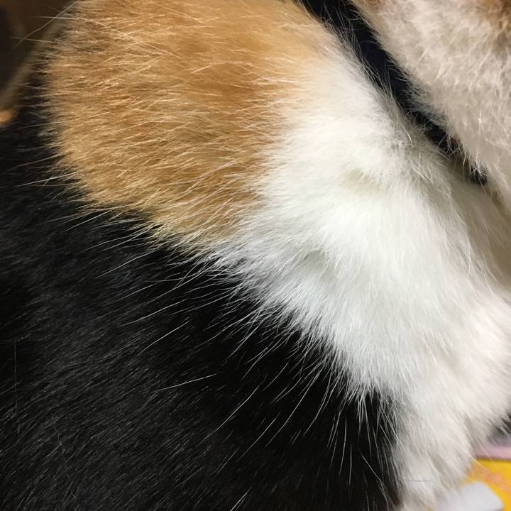 30956f5d 2c36 4482 bcb0 57be040ec197 1514205536325