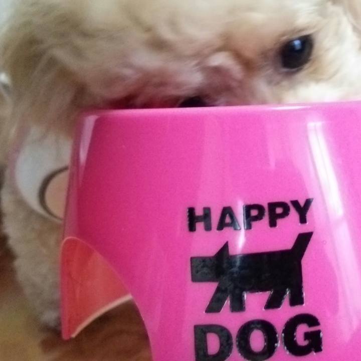 3095763e 62a4 4fd7 af74 684468f52117 1535184677115