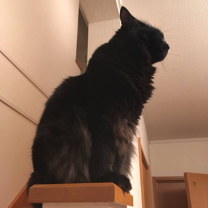 309579b2 a14e 492c a94b 3e08c05518a2 1537359998518