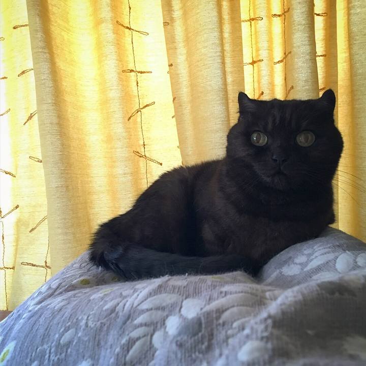 3095a899 5252 44d6 8e73 35f6a554127b 1522452354314