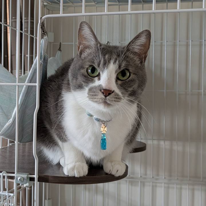 3095a8f9 1682 4f82 9c43 01a4caef82b3 1738904211689