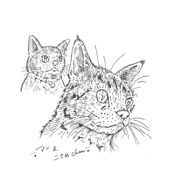 3095c3ee dce7 429b a70a 08c7aaf4057c 1582560348165