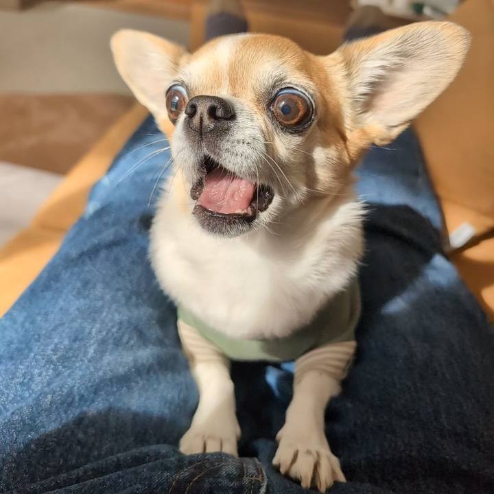 3095c87a 5166 4cfd 91da 158b15a99eb0 1773300261059