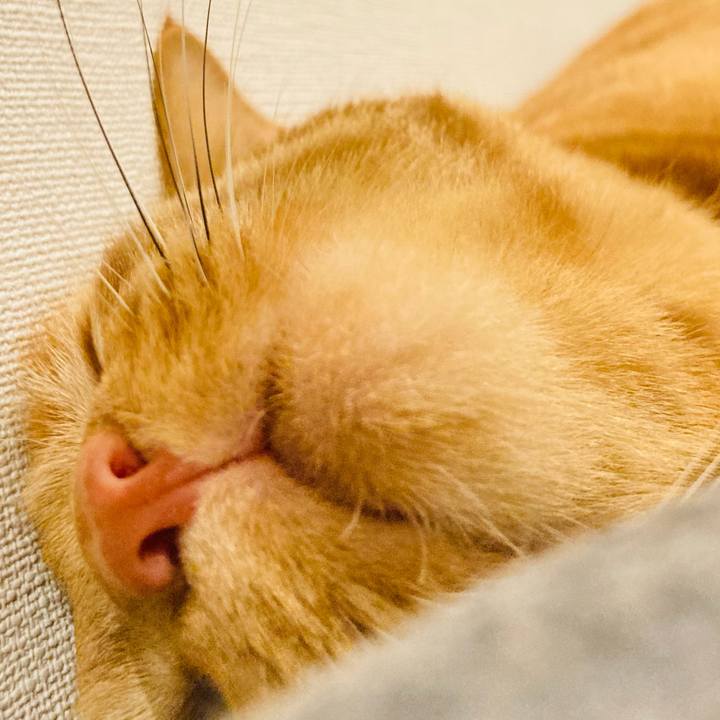 30960213 b46a 4e73 94e4 098dcdbbb397 1614941417989