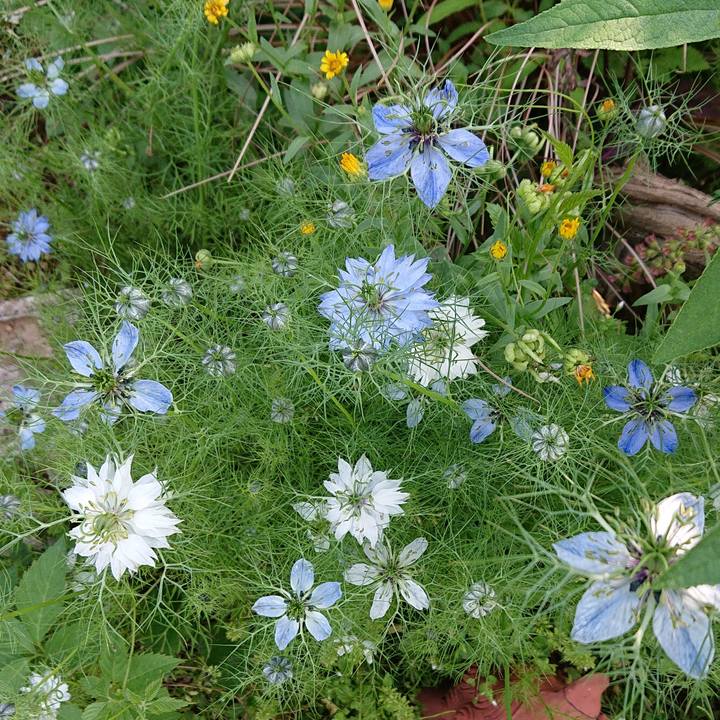 30967ee0 02bb 4648 a315 56cf34df725f 1652742061984