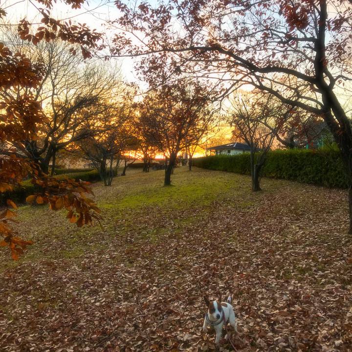 30969c69 5f08 48eb a695 7b7d2feee004 1513245976167