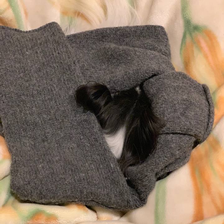 3096bc52 b93e 423f aee5 2fda356a9a73 1549718546691