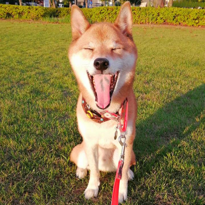 3096eaf6 64da 46fd ac58 f82b6c2f9a23 1599835524606