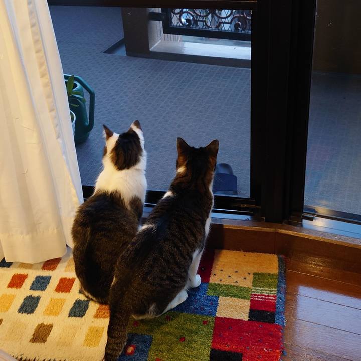 30973ba7 b5ba 4187 8947 60f0f0209868 1736897768419