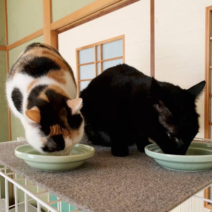 3097678f 7174 4b31 8f83 a33932d2b12c 1552441109538