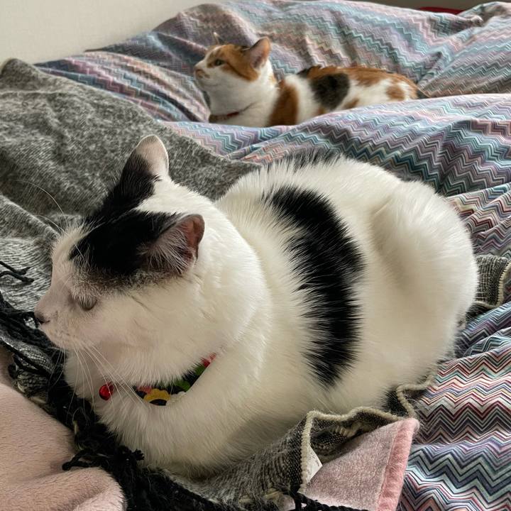 309770ce c521 4824 8958 7364c920f650 1642984104587