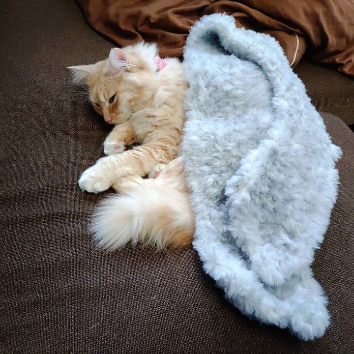 3097bd28 9f1b 4339 b837 4647d20fee26 1668224444909