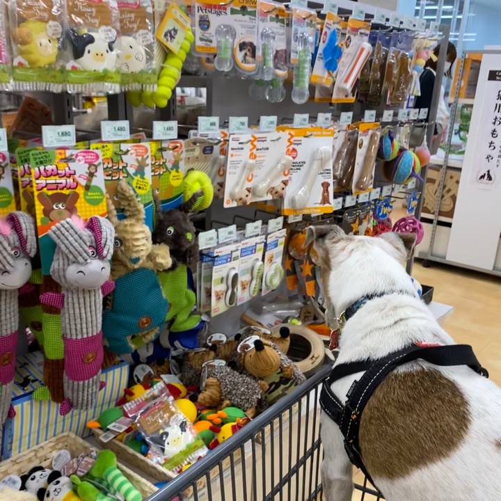 3097deff 2da1 4687 9af0 d01a6a2eb905 1601203038235