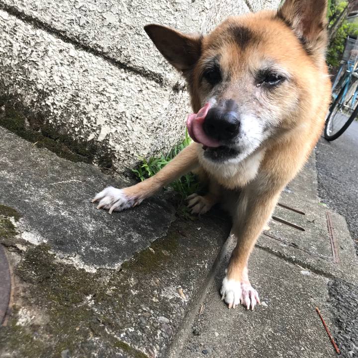 3097df4d 825c 41f8 a35b d6a23e96ba0f 1565822829021