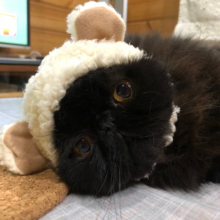 3097f50c 84ce 4e5e bd72 29a0f5e2cc28 1530279068861