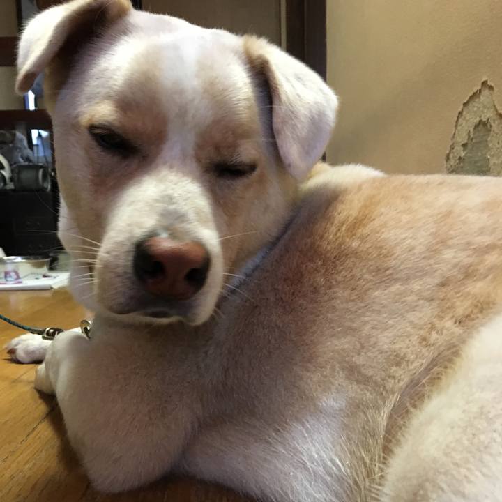 30980a00 80fb 4a31 82cb 90f8b463ac90 1508109437071