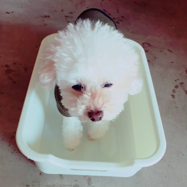 30981255 4dee 4dcf 9a00 fc0c53beef04 1517391405687