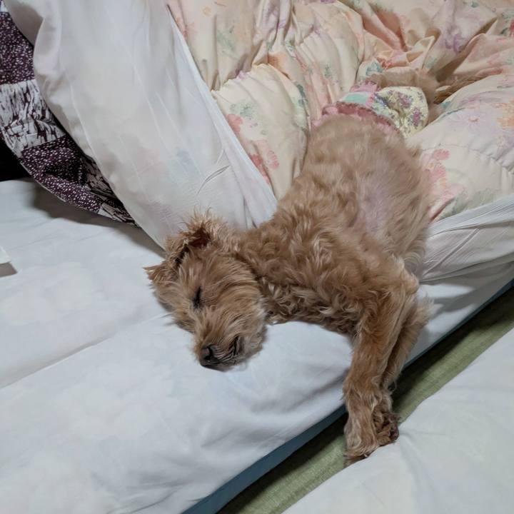 3098314d 8980 4c34 9c03 8d2e4d333fa6 1770591580587