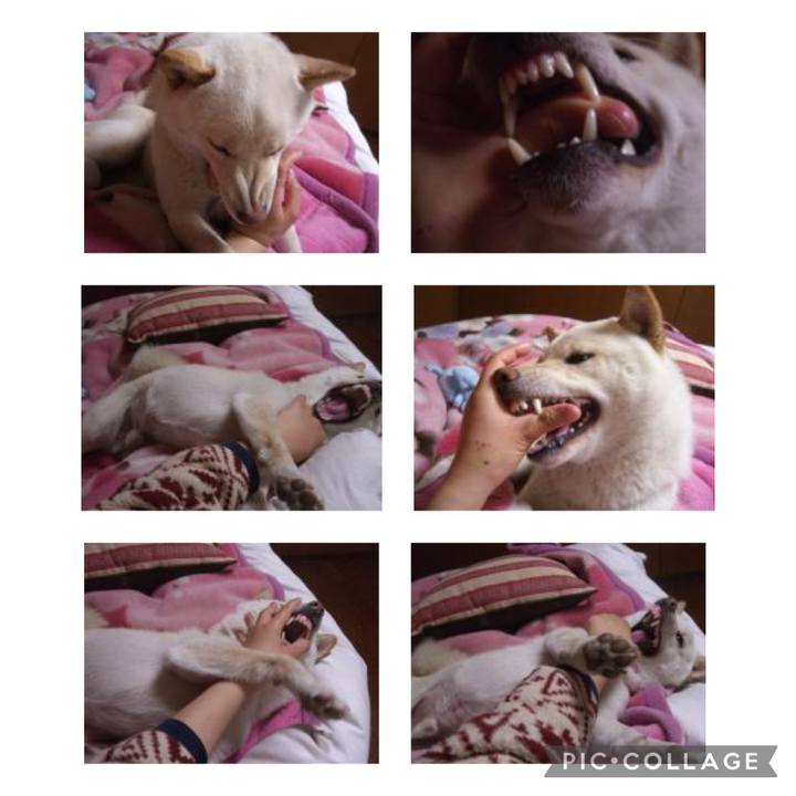 30983935 6508 4601 a0cf 2b982bc9ccc1 1647893823011